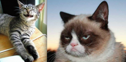 Оптимист/Пессимист 
:)