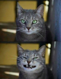 -Ты оптимист?
-Да!