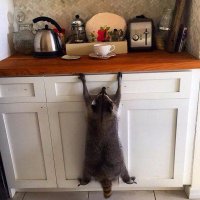 с*бывается от невкусной еды...