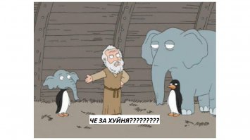 Почему люди идут на это? И зачем другие смотрят эти ужасы?