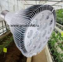 хорошая фитолампа дорого стоит, вот 2995 р