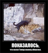 Показалось