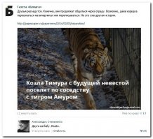 Хорошо хоть через ограду разрешила общаться...