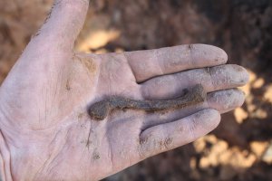 Я Живу в Старой Руссе В поисковой экспедиции "Долина" с 1998-го года (что сравнительно не большой срок). "Мясник" это в среднем компактное место гибели солдат. Вот "Рамушевский коридор" - это вам не шубу в трусы заправлять. Я в 2000-х с нашими местными старожилами общался "по долгу службы". Так, что про солдат, которые ночью в дома стучаться, чтобы погреться (хотя на дворе июль месяц) это я наслышался. А то, что было когда из котла 6 дивизий гансовских драпало вперемешку с нашими мирными бабами и их детьми, потому как артиллерия бьёт по площадям, не до паспортов (пардоньте)... Это уже страшновато. Пару лет назад в Руссе один мужик дом решил поставить на купленном участке. Он нарвался на останки, наши поднимали. Сразу стало понятно, что это гражданское население. Они просто не успели сбежать в сторону п. Парфино. Скорее всего их накрыло авианалётами в самом начале войны. Нацисты просто потом заставили трупы вдоль дорог прикапывать. Случайно собирая скелеты наткнулся на кость (ключицу)... никогда ещё детей не поднимал. Вы, читающие это, можете прощупать свою ключицу по размерам и сравнить с той, что на фотографии, которую я представил. А ведь этот ребёнок не хотел умирать... Боец РККА, погибший под мясном бором тоже не хотел, но у него было оружие и приказ. Для справки, в Новгородской области ежегодно по берегам рек вымывает человеческие останки, просто в войну легче было бросить в воду если рядом река. А вы тут про лес... лес. На реки да озёра наши посмотрите. Э-Э-х.