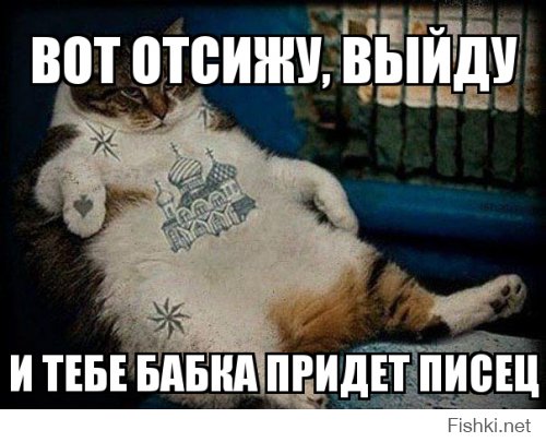 Жительница Новочеркасска предложила соседям подписать «заяву» на кота