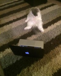 Фотоподборка за 06.02.2016