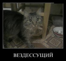 Обыкновенный "Тошизм"