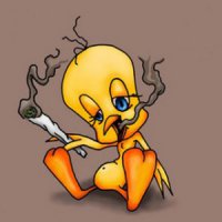 Подборка редких фотографий со всего мира