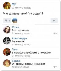 Смешные комментарии из социальных сетей 05.02.16
