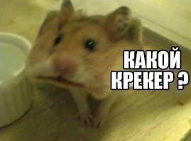 Старость не радость