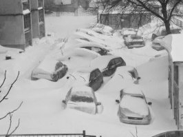 Судя по тому, как они стоят, их туда торнадо принесло...
Нормальные люди так машины не ставят.