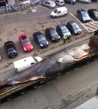 Фотоподборка за 07.02.2016