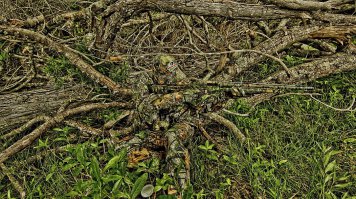 Фотоподборка за 07.02.2016