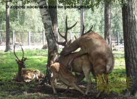 Фотоподборка за 06.02.2016