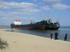 вот сразу вспомнилось, то чего сам видел, не поленился 50 км проехать шоб поглядеть своими глазами, просто на берегу стояли после шторма. это каролино-бугаз Одесская область.