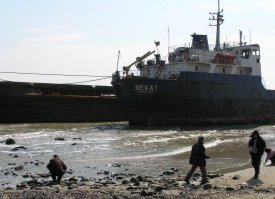 вот сразу вспомнилось, то чего сам видел, не поленился 50 км проехать шоб поглядеть своими глазами, просто на берегу стояли после шторма. это каролино-бугаз Одесская область.
