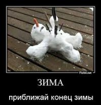 Приколы зимы