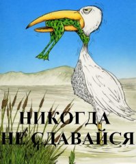 Жалко он так не мог !