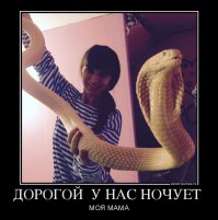 Немного казус фото