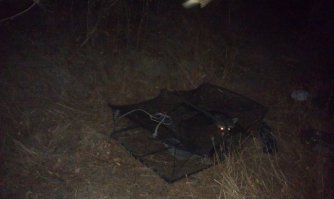 На Черноморском побережье, этих енотов... :) 
Шарятся по палаткам, воруют еду, портят все, до чего дотянутся. :) 

Один вообще, в краболовку залез. 
Сам залез и сам потом оттуда вылез. 
Но сфотографировать я успел. :) 

Это кстати, единственное, что за месяц в эту краболовку попалось.