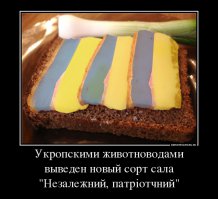 Что там вашего? Донбасс Ленин вам отдал, Львов Сталин, Крым Хрущ и так далее.Хер ли там вашего укрожопского? Сало, шдюхи и горилка? А ещё ПСеки и куча иностранцев в правительстве, забыл, которые вашу сраную мову то никак не осилят (а на хера, в принципе, если свалят в ближайшей перспективе из страны 404!)