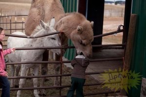 Эпические провалы