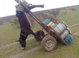 Эпические провалы