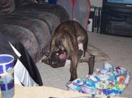 Когда камера удачно подловила тот самый момент