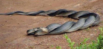 Когда камера удачно подловила тот самый момент