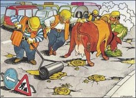 Вероника Бобрусь — «дорожная фея» в Омске, которая самостоятельно чинит ямы на дорогах