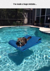 Фотоподборка за 08.02.2016