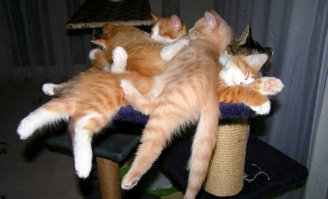 не совсем маленькие, но как-то так....