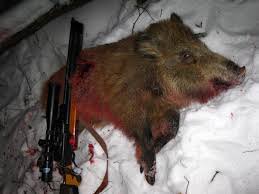 Самый мощный пневматический пистолет  