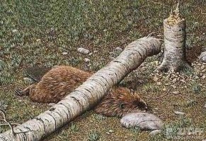 8 случаев из прошлого, которые убедят вас, что «карма» существует