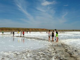 Соль: то, что Вы не знали об этой приправе