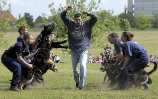 Чёт вы тупой какой-то.
Вы вроде бы как путаете турьму, с уличным двором, где вообще-то не осуждённые ходят, а женщины с детьми, хотя по вашему отношению, эти женщины и дети УЖЕ осуждены вами и несут наказание за любое движение, со стороны вашей бешенной собаки.
Вы психопат и потенциальный убийца.
В туремном заведении никто не будет заботится о наморднике, если даже свободно гуляющие по городу психопаты в виде вас не утруждают себя чтением законов и соблюдением их, то уж в тюрьме охранники тем более будут считать, что их это не касается, хотя в тюрьме может именно покусать при попытке к бегству осуждённых и является целью, чтобы усилить в них страх.
Но, с какого перепуга женщины, дети и врослые люди живущие в городах и сёлах, являются осуждёнными?
Я вот считаю, что не являются, и потому они в праве требовать соблюдение правил, и садить именно таких вот как вы психопатов с собаками, ищущими на кого бы напасть, ограбить, изувечить детей или женщин.
А вот полицейские собакими именно что обучаются работе в наморднике.

Смотри кадры с тренировок полицейских наших собак, балбесик.
А, и вот, почитай


*Собака во время лобовой атаки не травмирует нос
* Намордник для собак, работающих в специальных военных подразделениях, полицейских собак, используется в боевых частях и в работе полиции

Всё, усёк?
Умник форумный.
Тренер, блин, со стажем, ага.
Иди улиток дрессируй, а не собак.