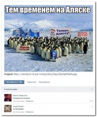 Смешные комментарии из социальных сетей 08.02.16