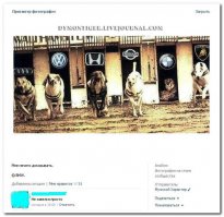 Смешные комментарии из социальных сетей 08.02.16