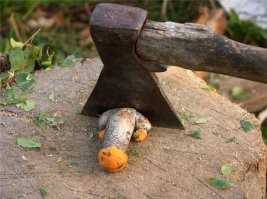 35 невинных фотографий, которые покажут насколько вы испорчены