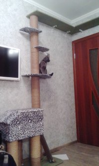 Хоть и поздно, но воть...