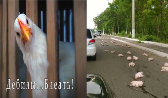 Эпические провалы