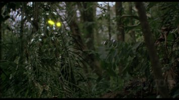 Фотоподборка за 07.02.2016