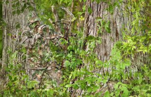 Фотоподборка за 07.02.2016