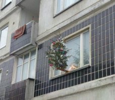 почему я не догадался. или вот эта фотка не попала мне в глаза.