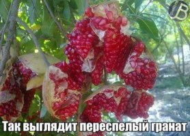 Фотоподборка за 08.02.2016
