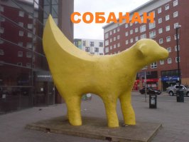 Фотоподборка за 09.02.2016