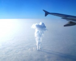 ума нет, одна фантазия