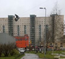 Место с которого производилась съёмка Лужи и Снежной дорожки разные. Снег снимался гораздо дальше (там вдоль дома оградка идёт). Таким образом и СУХУЮ дорожку без Лужи можно было спокойно сфоткать, при наличии Лужи за спиной фотографа !!!