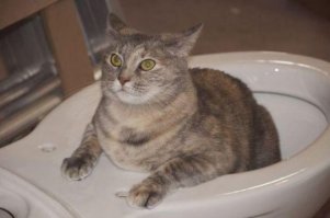 20 худших мужских  фраз, сказанных во время секса 