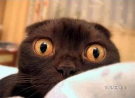 не знаю…они меня пугают